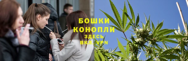 шишки Беломорск