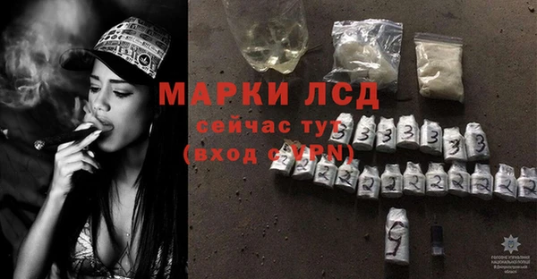 шишки Беломорск