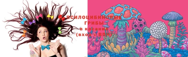 шишки Беломорск