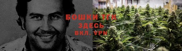 шишки Беломорск