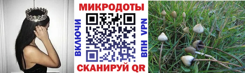 Галлюциногенные грибы мухоморы  наркота  ссылка на мегу зеркало  Высоковск 